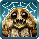 Spider Gagambattle!-APK