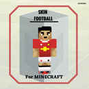 Skin FootBall for Minecraft PE APK
