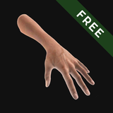 ikon Hand Draw 3D Pose Tool