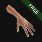 Hand Draw 3D Pose Tool-icoon