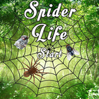 Spider Life ikon
