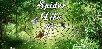 Spider Life penulis hantaran