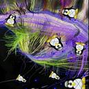 KDJStudios APK