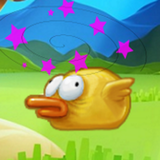 Crazy Duck icon