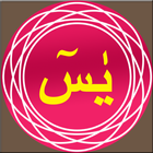 Surah Yasin mp3 图标