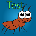 Ants test
