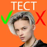 Егор Шип тест