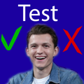 Tom Holland Test