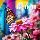 Morning Afternoon Night in Pt APK