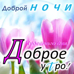 Baixar Доброе утро, день, ночи XAPK