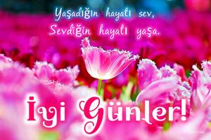 Good morning night in Turkish poster