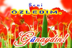 Good morning night in Turkish screenshot 2