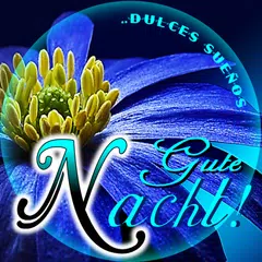 Gute Nacht アプリダウンロード