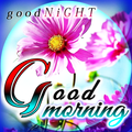 Good Morning