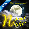 Good Night