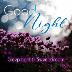 Good Night APK download