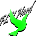 Fly Hard