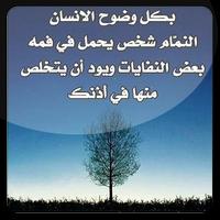 أقوال تبهر العقول پوسٹر