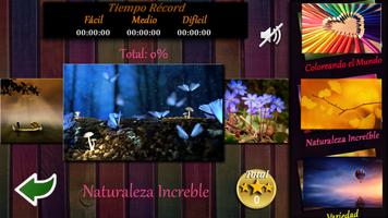 Puzzles Rompecabezas Colors -  poster