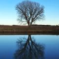 Kansas Nature Wallpapers