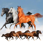 آیکون‌ Horse Racing Pro