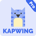 Kapwing video editor pro icon
