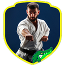 Karate Moves (Guide) APK