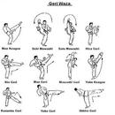 technika karate sztuk walki aplikacja
