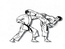 técnica de artes marciais de karatê imagem de tela 3