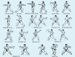 Karate-Kampfkunst-Technik Plakat