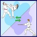 techniques de combat de karaté APK