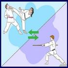 Karate Fighting Techniques icon