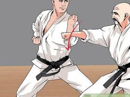 پوستر Karate Fighting Techniques