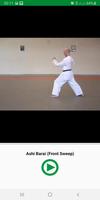 Learn Karate Techniques capture d'écran 2
