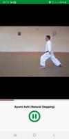 3 Schermata Learn Karate Techniques