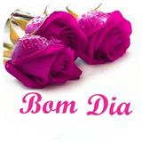 Images Bom Dia Boa Noite simgesi