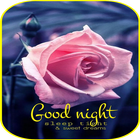 Good Night Sweet Dreams 2022 simgesi