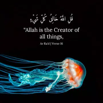 Screenshot 4 for صور أدعية و خلفيات إسلامية