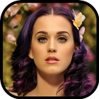 Katy Perry Wallpapers 아이콘