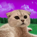 Yuki APK