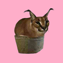 floppa.png APK