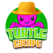 Little Turtle Escape