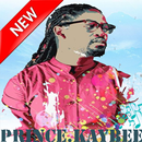 DJ Prince Kaybee - Offline APK