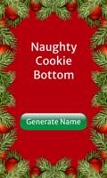 Christmas Party Elf Name Gener captura de pantalla 2