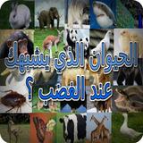 الحيوان الذي يشبهك عند الغضب ؟ biểu tượng