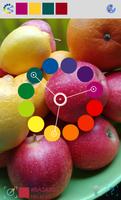 Camera Color Block  Pro 海報