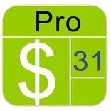 Monthly Income Calculator Pro