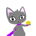Meowsli