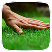 Lawn Care Guide icon
