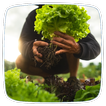 Vegetable Gardening Guide icon